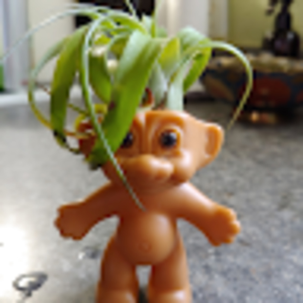 Meet your Posher, Kate